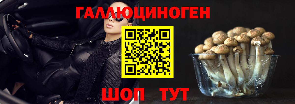 Галлюциногенные грибы MAGIC MUSHROOMS  Псилоцибиновые грибы Psilocybe  Вход с VPN  Кирово-Чепецк 